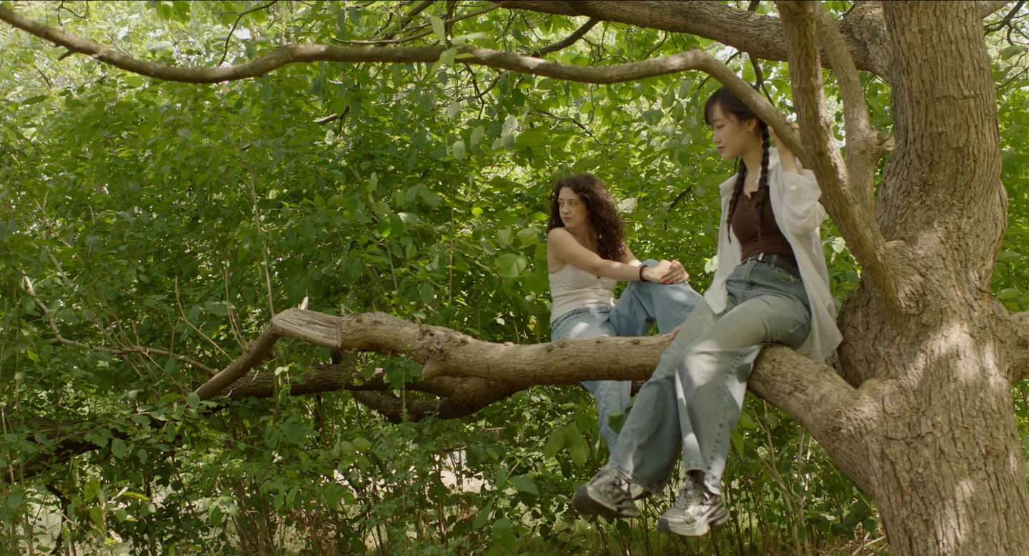 Two women sitting together in a tree — Don't Wake Me